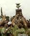 0460Trophy